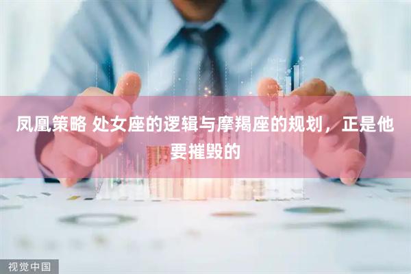 凤凰策略 处女座的逻辑与摩羯座的规划，正是他要摧毁的