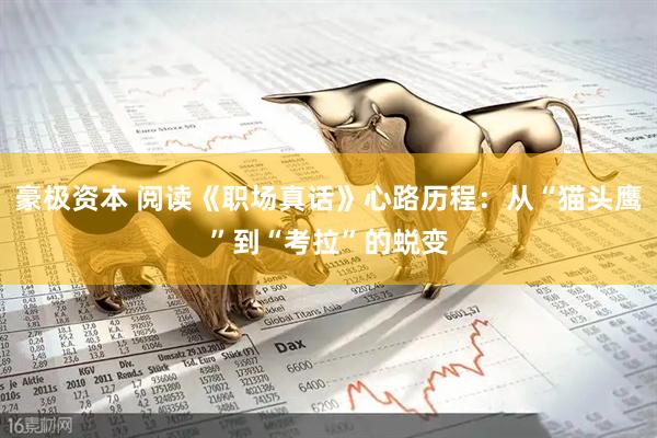 豪极资本 阅读《职场真话》心路历程：从“猫头鹰”到“考拉”的蜕变