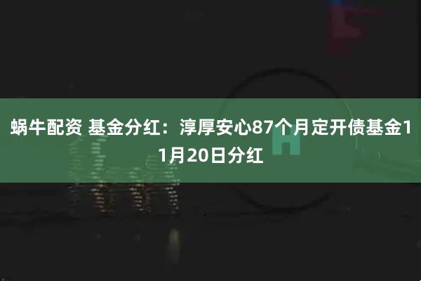 蜗牛配资 基金分红：淳厚安心87个月定开债基金11月20日分红