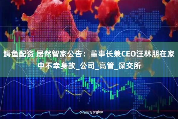 鳄鱼配资 居然智家公告：董事长兼CEO汪林朋在家中不幸身故_公司_高管_深交所